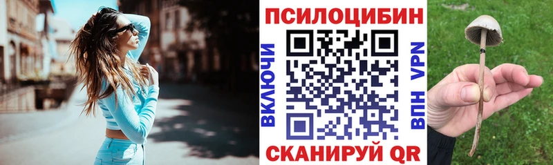 Псилоцибиновые грибы MAGIC MUSHROOMS  дарнет шоп  кракен как зайти  Пыть-Ях 