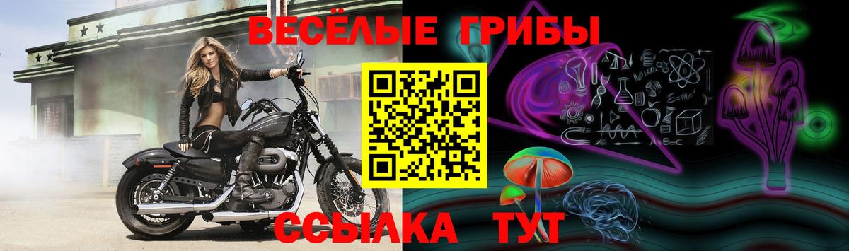 Пыть-Ях  Галлюциногенные грибы MAGIC MUSHROOMS  Вход с VPN 