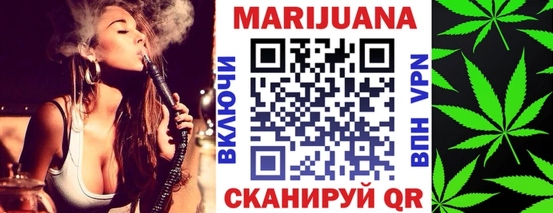 кракен как войти  Пыть-Ях  Каннабис сатива 